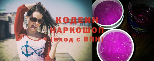 шишки Кодинск
