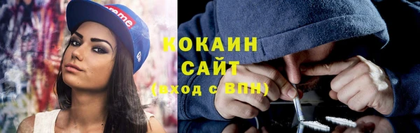 шишки Кодинск