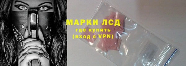 шишки Кодинск