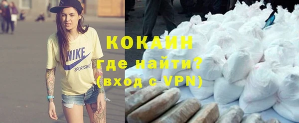 шишки Кодинск