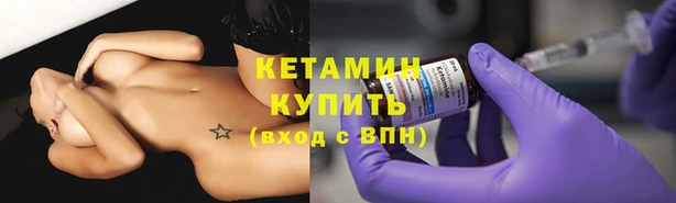 шишки Кодинск