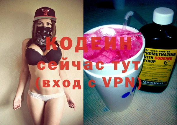 шишки Кодинск