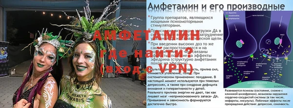шишки Кодинск