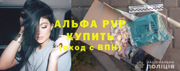 шишки Кодинск