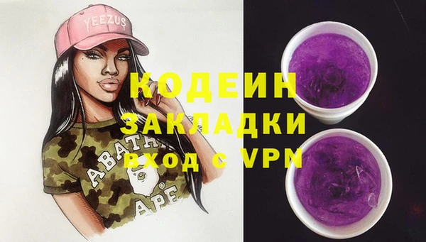 шишки Кодинск