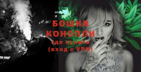 шишки Кодинск