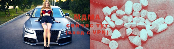 шишки Кодинск