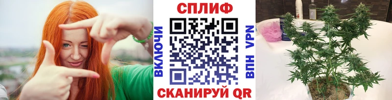 Купить  Каневская  Конопля ГИДРОПОН 